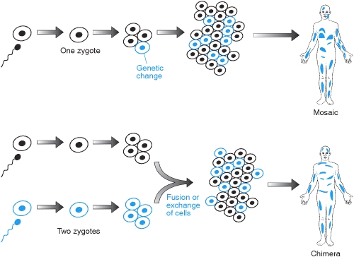 Mosaicism and chimerism