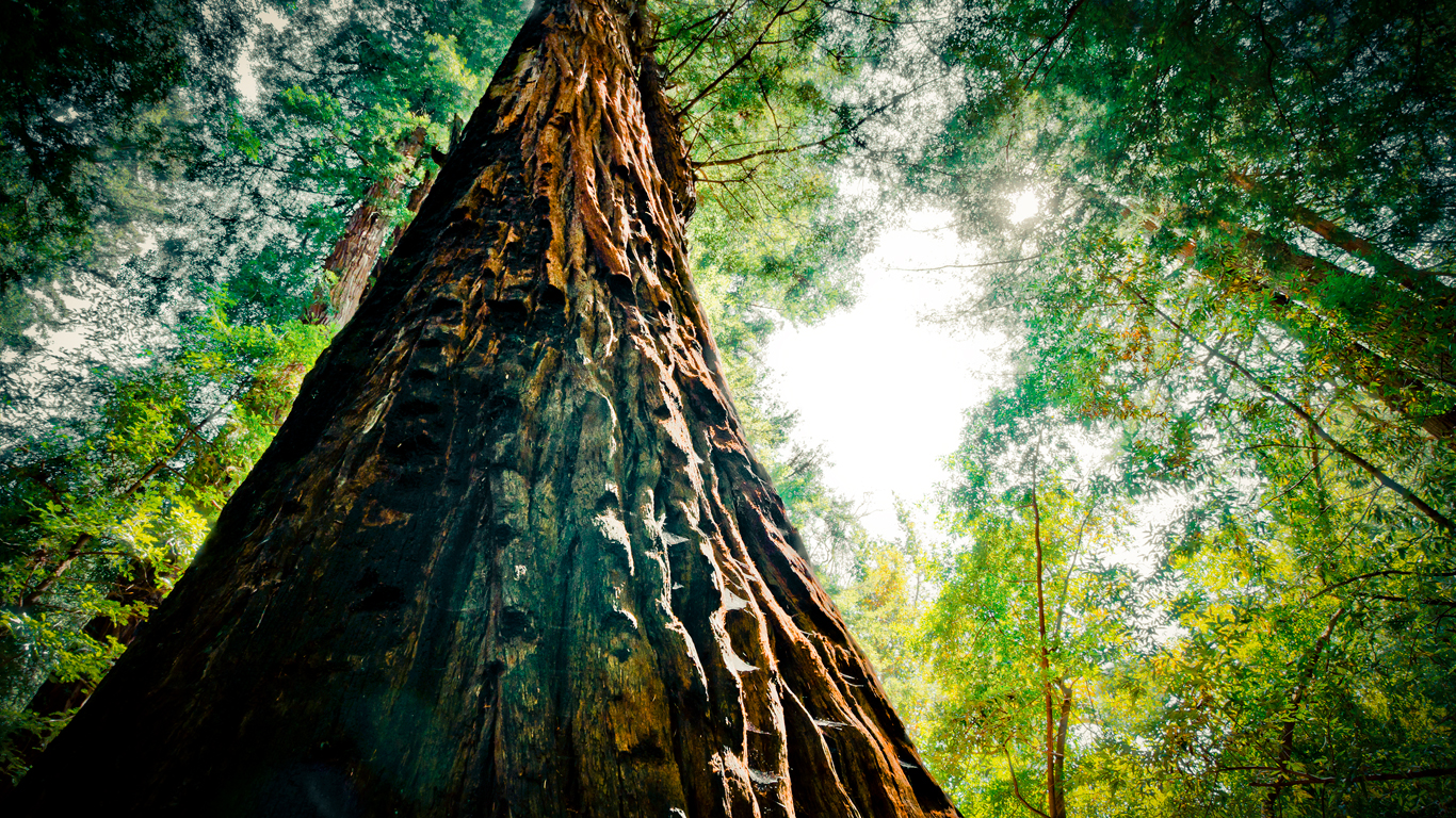 Santa Cruz, California