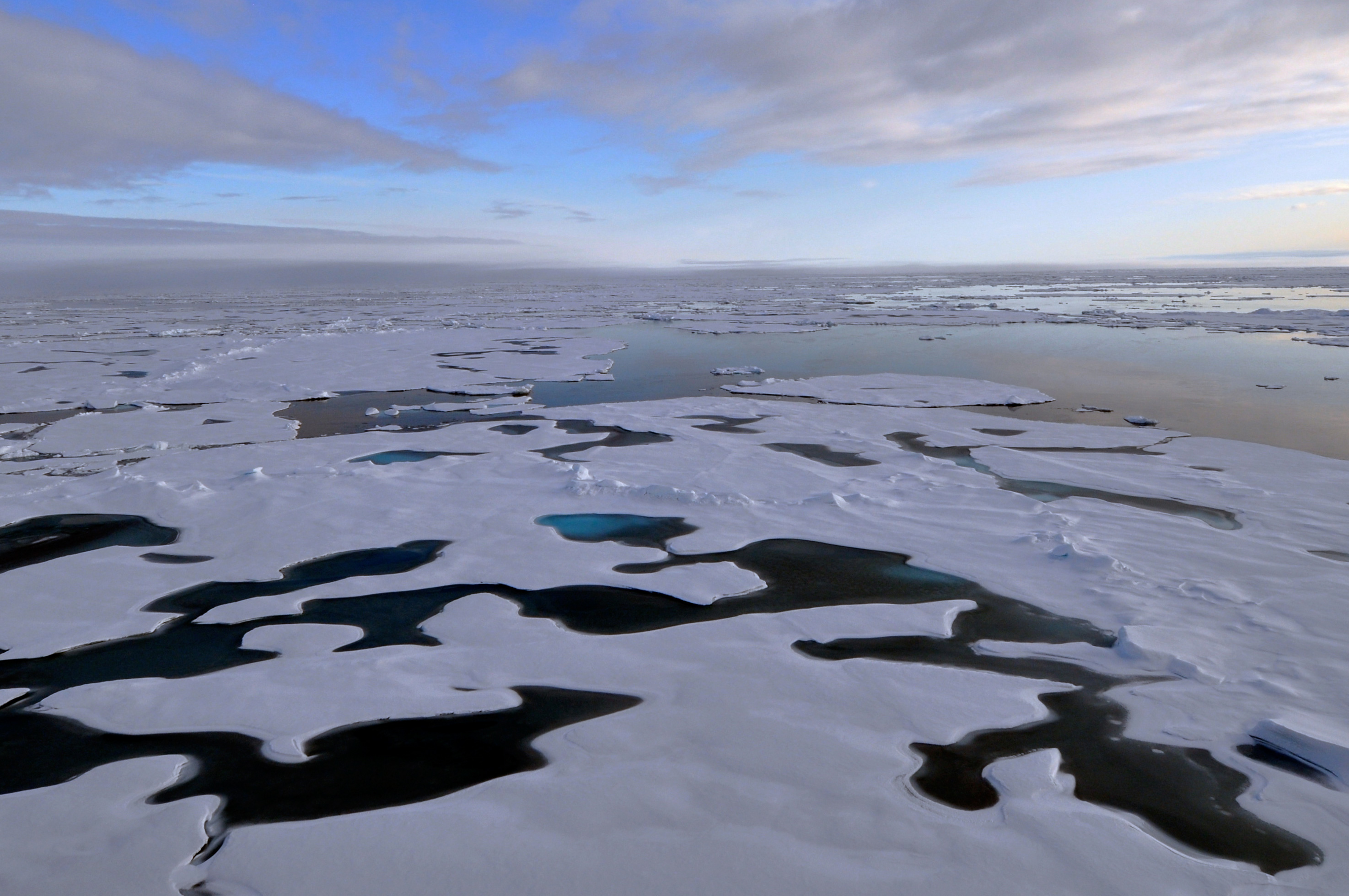 sea ice feature image