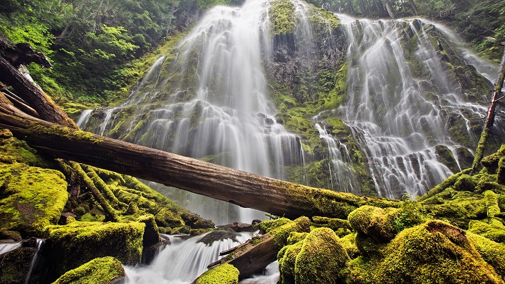 Under Proxy Falls